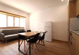 Fully refurbished villa with 6 2 bedroom apartments next to Dias da Silva, Celas.