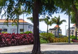 Unmatched Luxury. Absolute Privacy. A Rare Opportunity by the Sea. Unmatched Luxury. Absolute Privacy. A Rare Opportunity by the Sea.