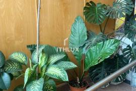 Refurbished T3 to debut Feijó