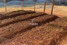 Sustainable Farm in Capitólio: 32ha with 4 Springs and Solar Energy