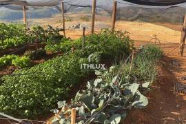 Sustainable Farm in Capitólio: 32ha with 4 Springs and Solar Energy