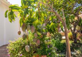 Detached, Charming,  traditional 4  bedroom country house with pool . Near São Brás de Alportel