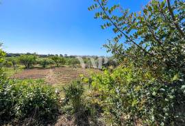 8-Bedroom House for Renovation in Semino, Near Quarteira