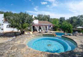 Single-Storey 3+1 Bedroom Villa with Pool and Rustic Charm in Salir