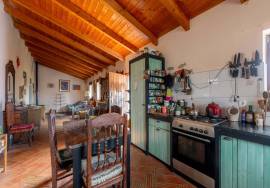 Pre 1951 Off-Grid Estate with 15 Hectares in the Algarve Countryside