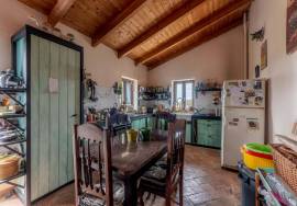 Pre 1951 Off-Grid Estate with 15 Hectares in the Algarve Countryside