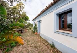 Pre 1951 Off-Grid Estate with 15 Hectares in the Algarve Countryside
