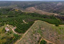 Pre 1951 Off-Grid Estate with 15 Hectares in the Algarve Countryside