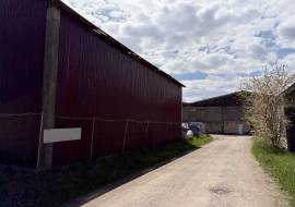 Estate with 3 Businesses For Sale in Valea Crisului Covasna Romania