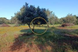 Country house to recover in Loulé