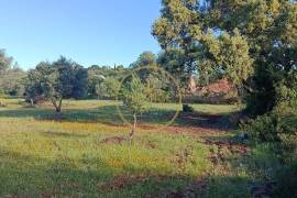 Country house to recover in Loulé