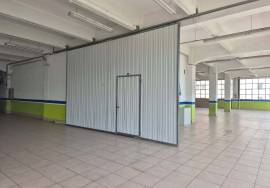 Commercial property Vizcaya recalde