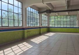 Commercial property Vizcaya recalde