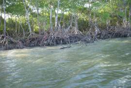 Ilha Particular - Caravelas