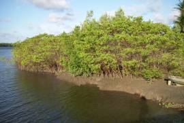 Ilha Particular - Caravelas