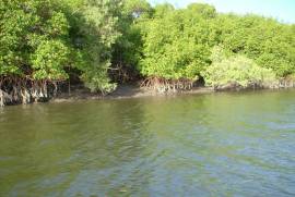 Ilha Particular - Caravelas
