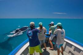 Ilha Particular - Caravelas