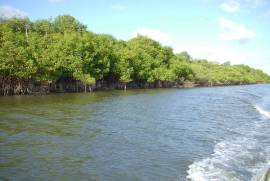 Ilha Particular - Caravelas