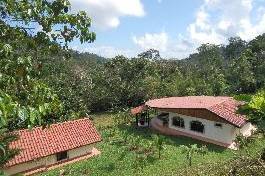 Costa Rica Properties: Organic-Bio / Farms