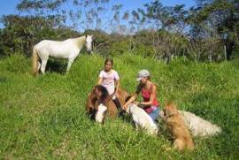 Costa Rica Properties: Organic-Bio / Farms