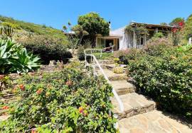 B&B Potential: Quinta with 2 guest cottages near Santa Catarina da Fonte do Bispo/Tavira