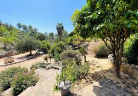 B&B Potential: Quinta with 2 guest cottages near Santa Catarina da Fonte do Bispo/Tavira