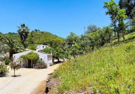 B&B Potential: Quinta with 2 guest cottages near Santa Catarina da Fonte do Bispo/Tavira