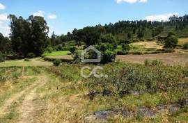 Agricultural Farm in Alcafache