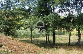 Agricultural Farm in Alcafache