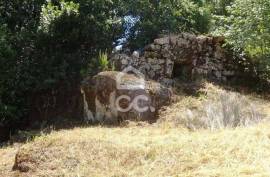 Agricultural Farm in Alcafache