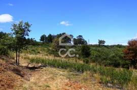 Agricultural Farm in Alcafache