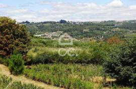 Agricultural Farm in Alcafache