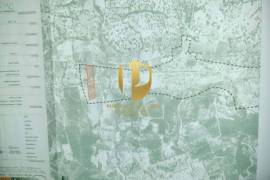 Santa Catarina of the source of the bishop, urban allotment for 21 villas