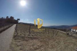 Farm 100,000 m2 Lamego