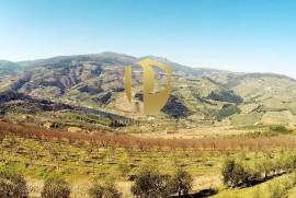 Farm 100,000 m2 Lamego