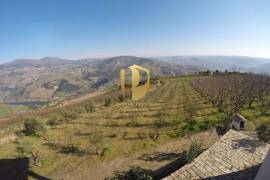 Farm 100,000 m2 Lamego