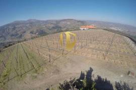 Farm 100,000 m2 Lamego