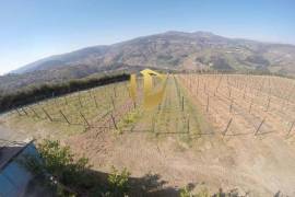 Farm 100,000 m2 Lamego