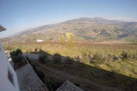 Farm 100,000 m2 Lamego