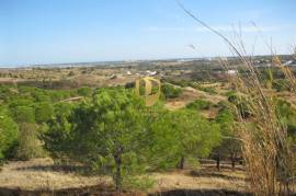 Land with 385.000 m2 and 140m2 of house with 5 bedrooms, living room, WC and garage, pines and dam. Located in the municipality of Castro Marim, in the place of Vale das Zorras.