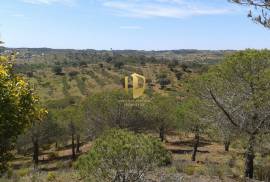 Land with 647.025m2 with possibility to make villa of 300 m2 +30 m2 of garage or a rural tourism with 2000 m2 in Castro Marim
