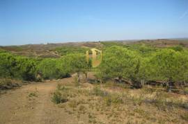 Land with 647.025m2 with possibility to make villa of 300 m2 +30 m2 of garage or a rural tourism with 2000 m2 in Castro Marim