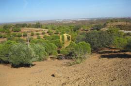 Land with 647.025m2 with possibility to make villa of 300 m2 +30 m2 of garage or a rural tourism with 2000 m2 in Castro Marim