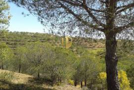 Land with 647.025m2 with possibility to make villa of 300 m2 +30 m2 of garage or a rural tourism with 2000 m2 in Castro Marim