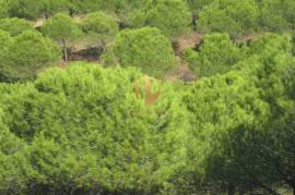 Land with 647.025m2 with possibility to make villa of 300 m2 +30 m2 of garage or a rural tourism with 2000 m2 in Castro Marim