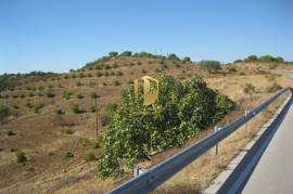 Land with 647.025m2 with possibility to make villa of 300 m2 +30 m2 of garage or a rural tourism with 2000 m2 in Castro Marim
