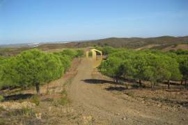 Land with 647.025m2 with possibility to make villa of 300 m2 +30 m2 of garage or a rural tourism with 2000 m2 in Castro Marim
