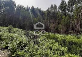 Land Penafiel RECEZINHOS