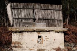 LAND PLOT WITH RUINS