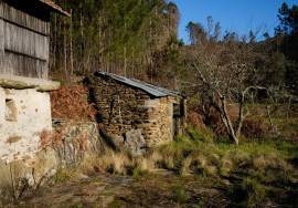 LAND PLOT WITH RUINS